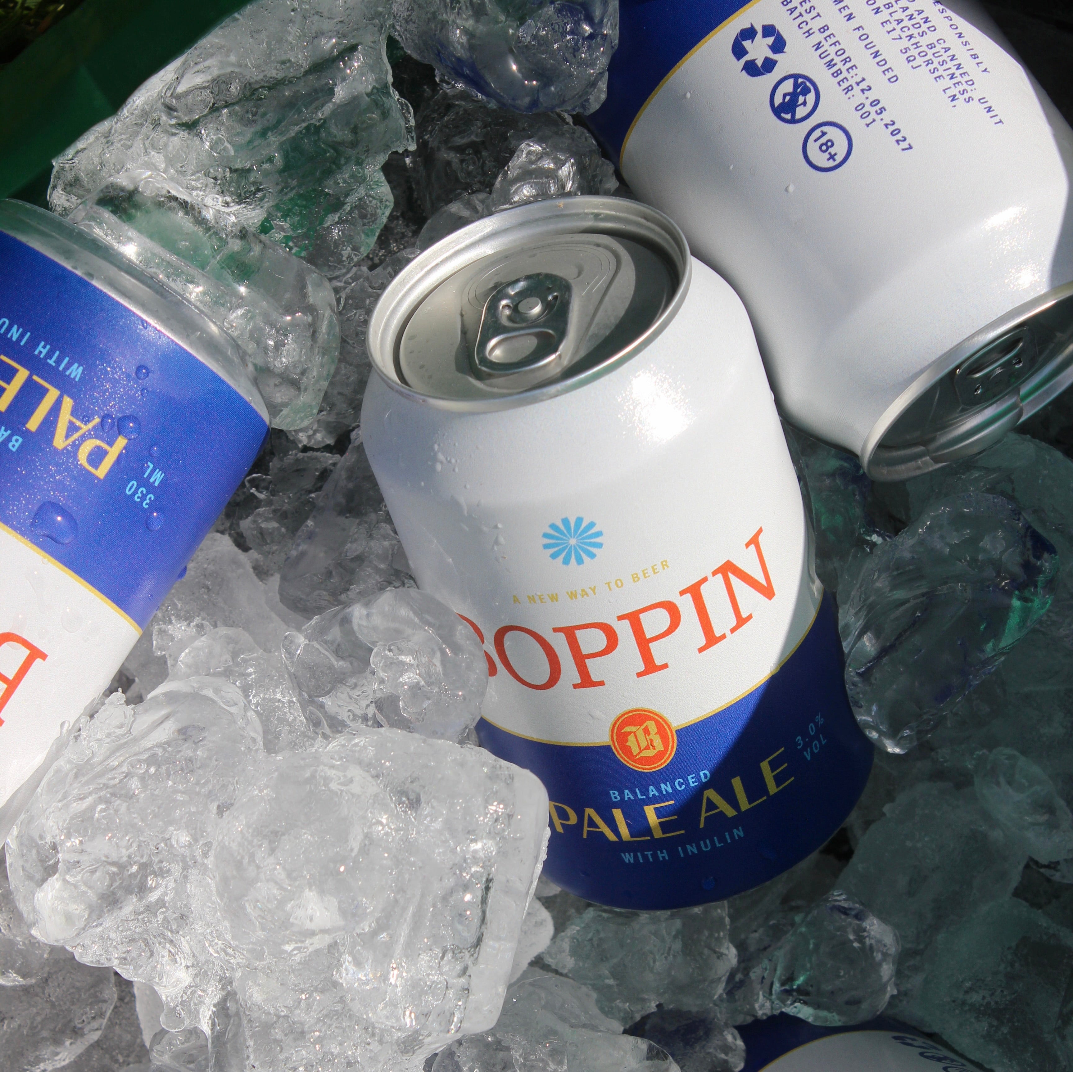 Boppin Beer Pale Ale